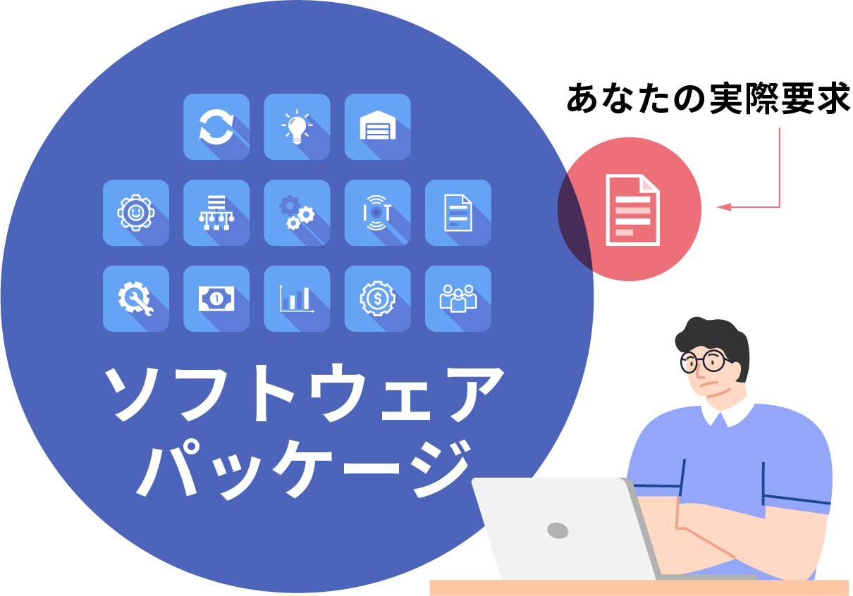 ソフトウエア・パッケージは大きく複雑で、実際のニーズとの接点があまりない